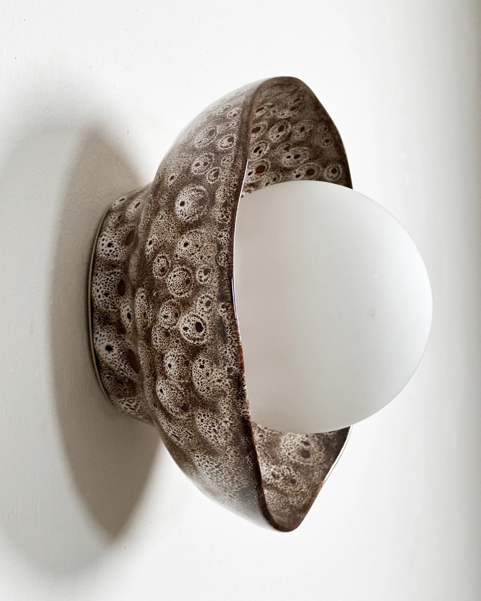 Shell Sconce Wall Light