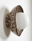 Shell Sconce Wall Light