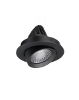 Apex Adjustable Downlight