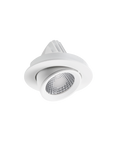 Apex Adjustable Downlight