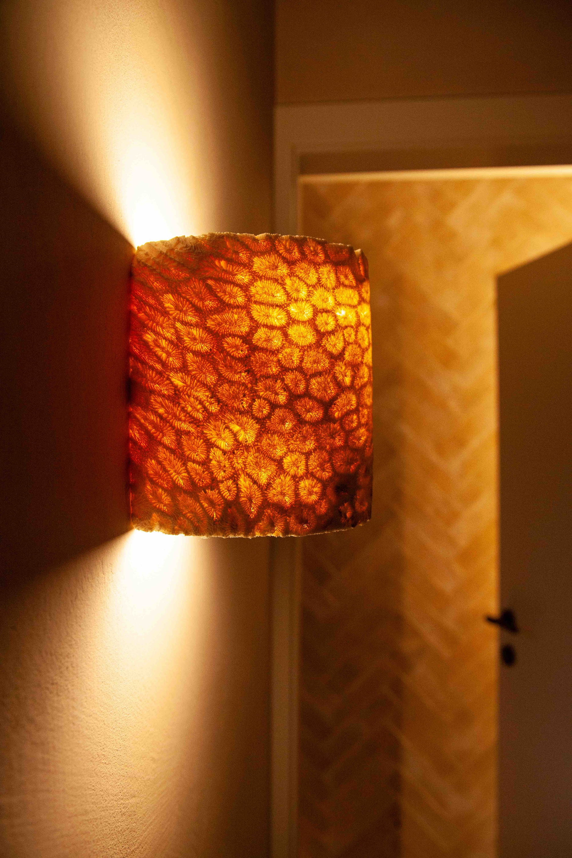 Fossil Coral Tube Flush Wall Sconce