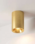 Fuoco Surface Mount Downlight