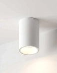 Fuoco Surface Mount Downlight