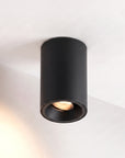 Fuoco Surface Mount Adjustable Downlight