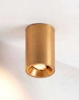 Fuoco Surface Mount Adjustable Downlight