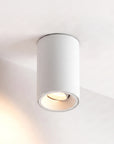 Fuoco Surface Mount Adjustable Downlight