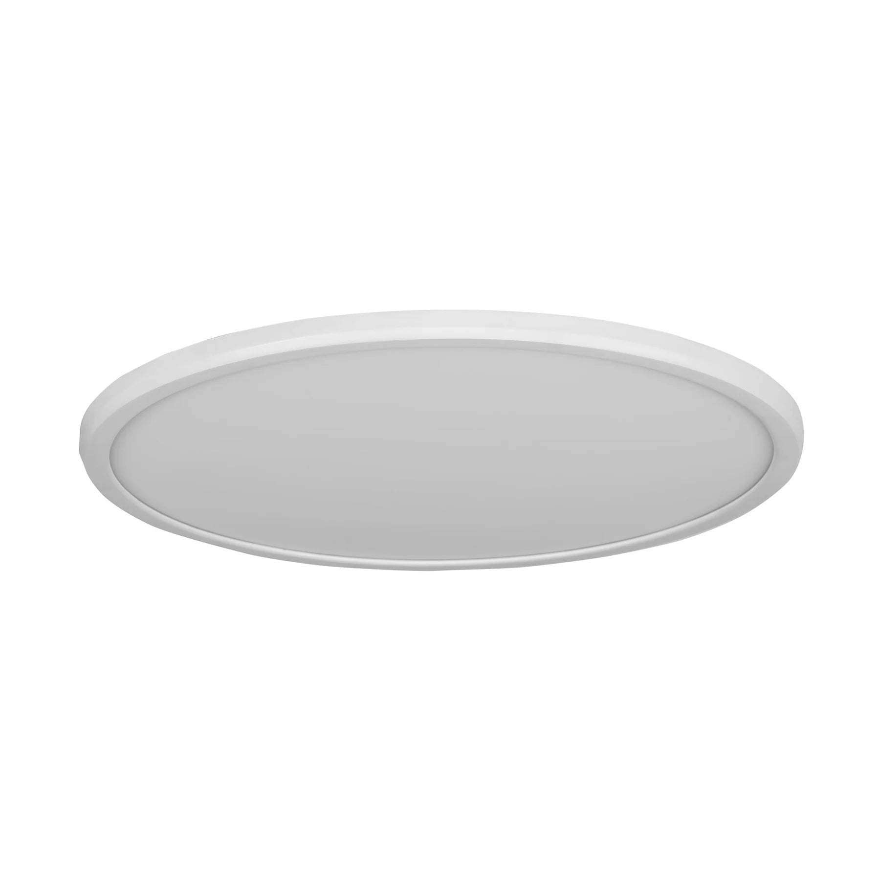 Slim Oyster Light