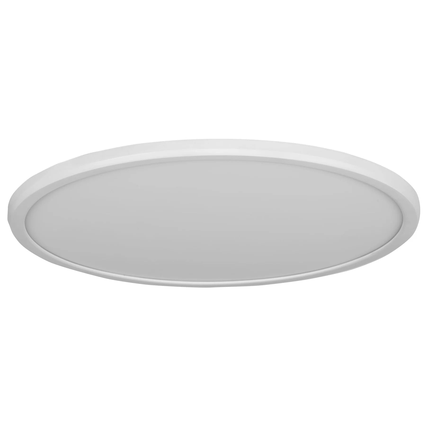 Slim Oyster Light