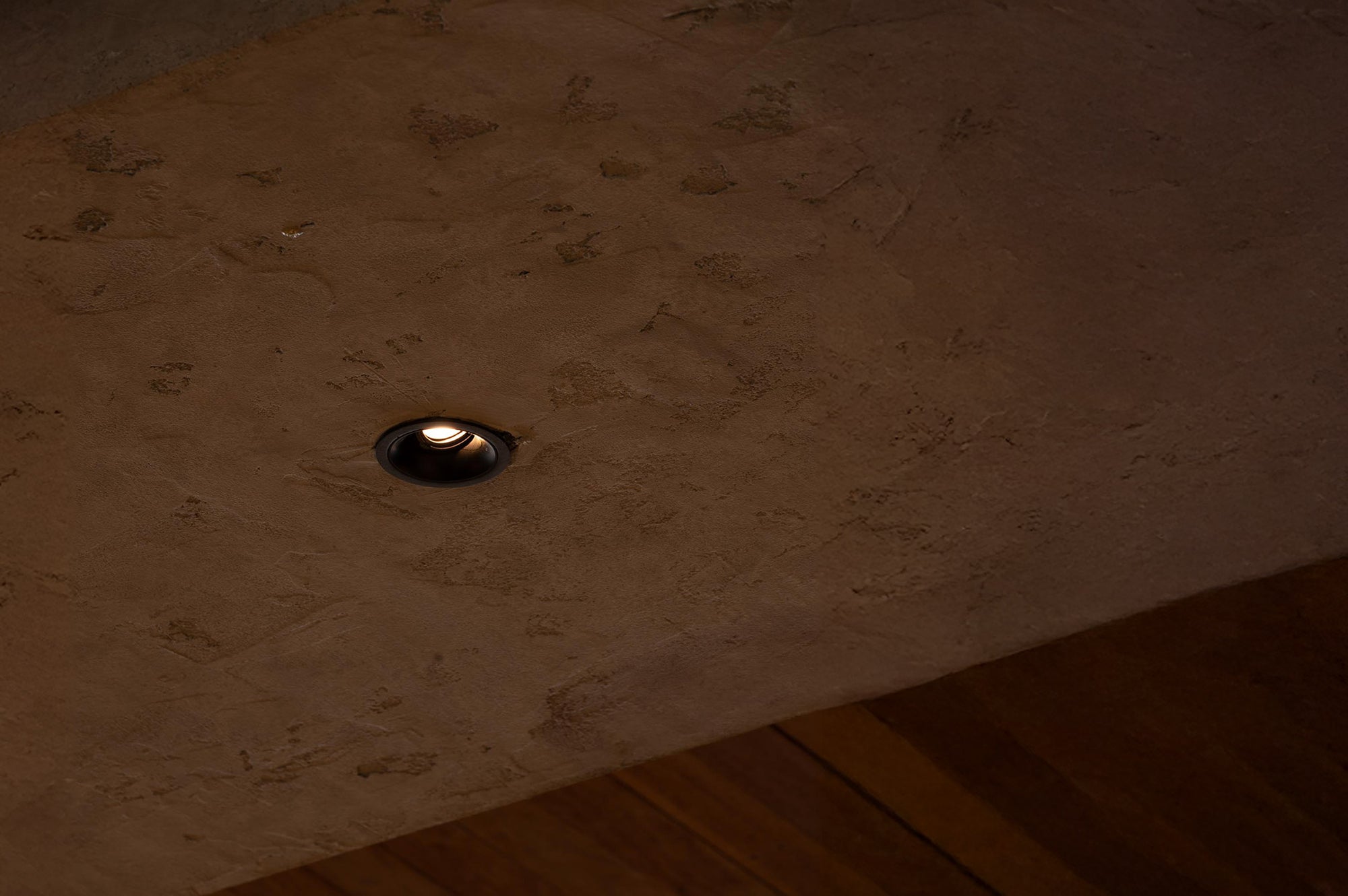 ION R Adjustable Downlight