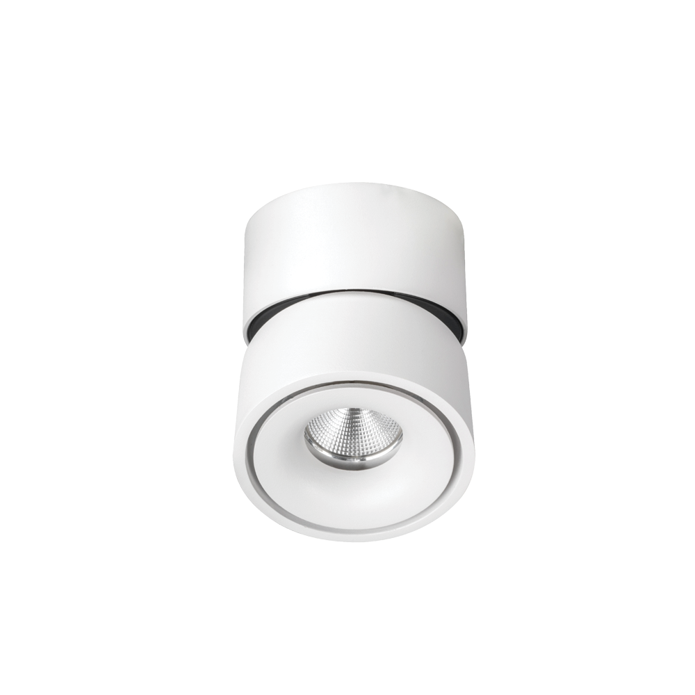 Kinetic Adjustable Surface Mounted Downlight