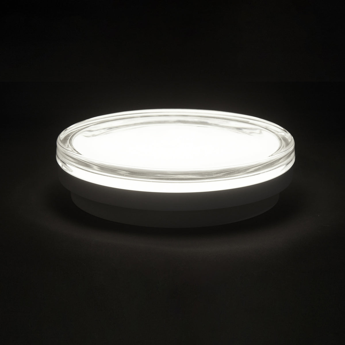 Glass Outdoor IP65 Ceiling Light