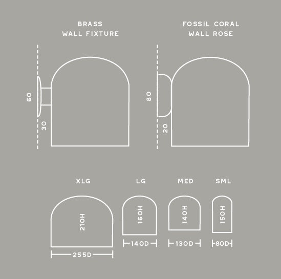 Fossil Coral Dome Wall Sconce