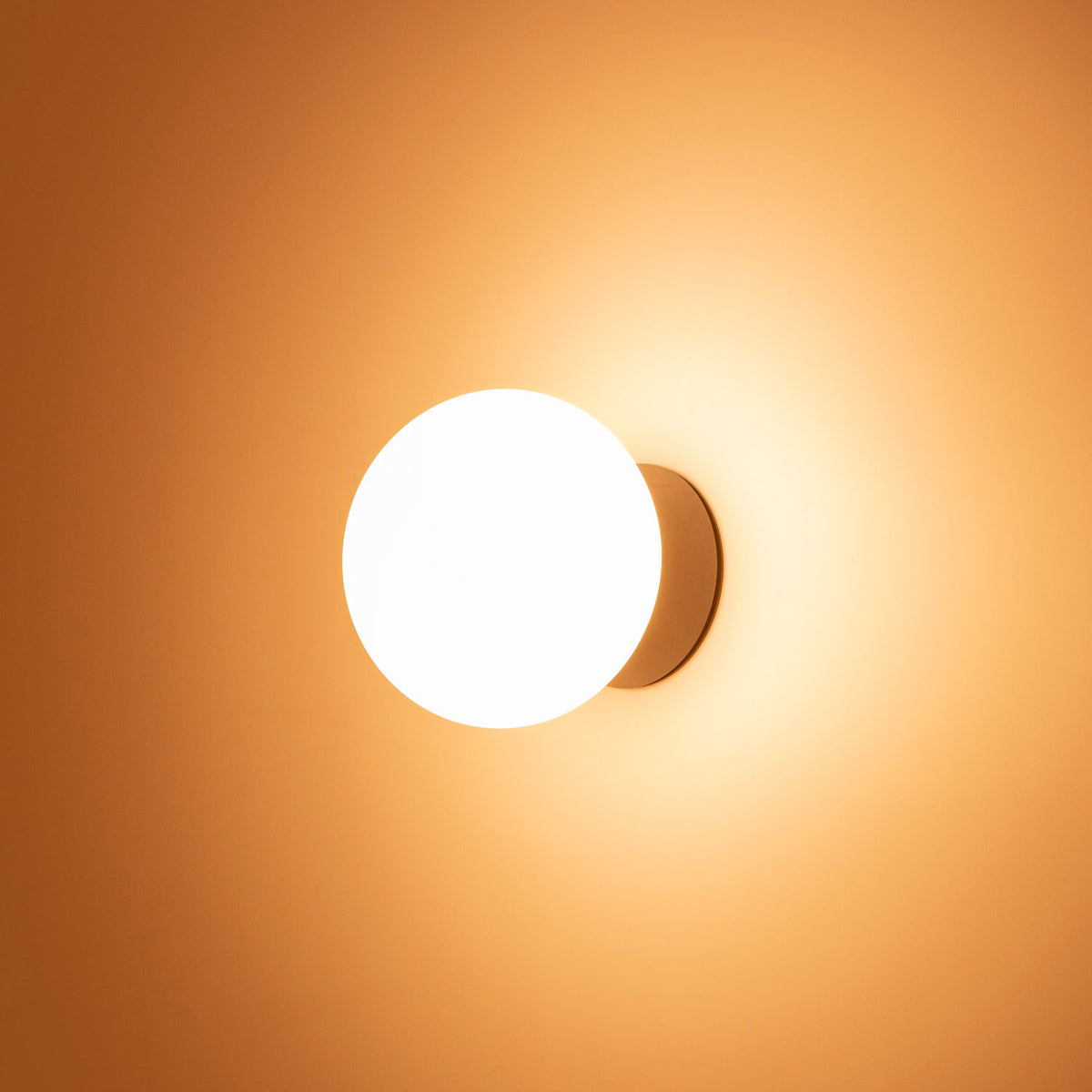 Sphera Wall Light IP65