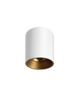 Titanium G2 Surface Mounted Downlight