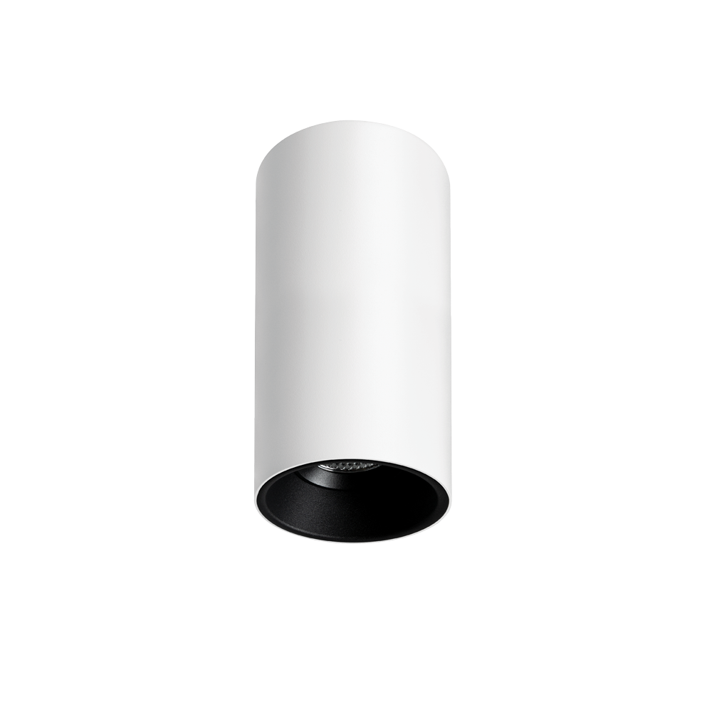 Titanium G2 Surface Mounted Downlight