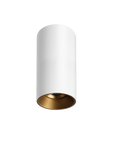 Titanium G2 Surface Mounted Downlight