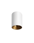 Titanium G2 Surface Mounted Downlight