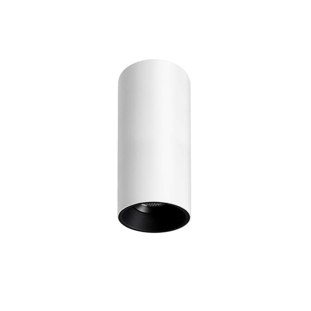 Titanium G2 Surface Mounted Downlight