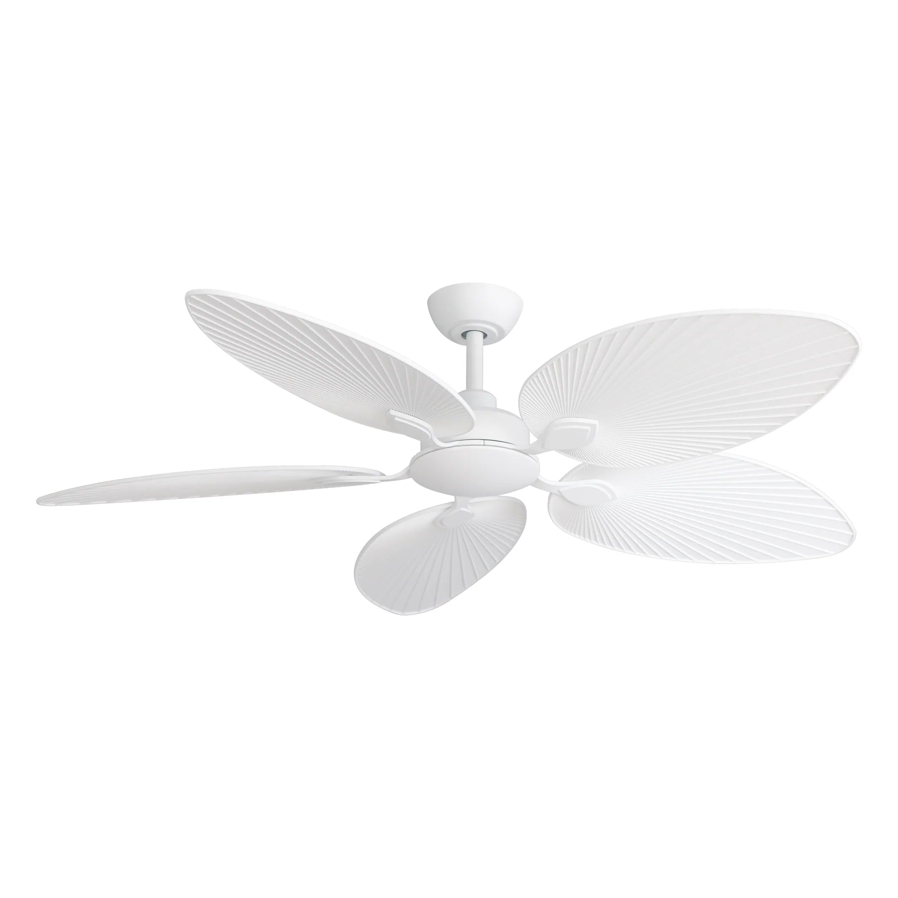 Tropicana AC Fan