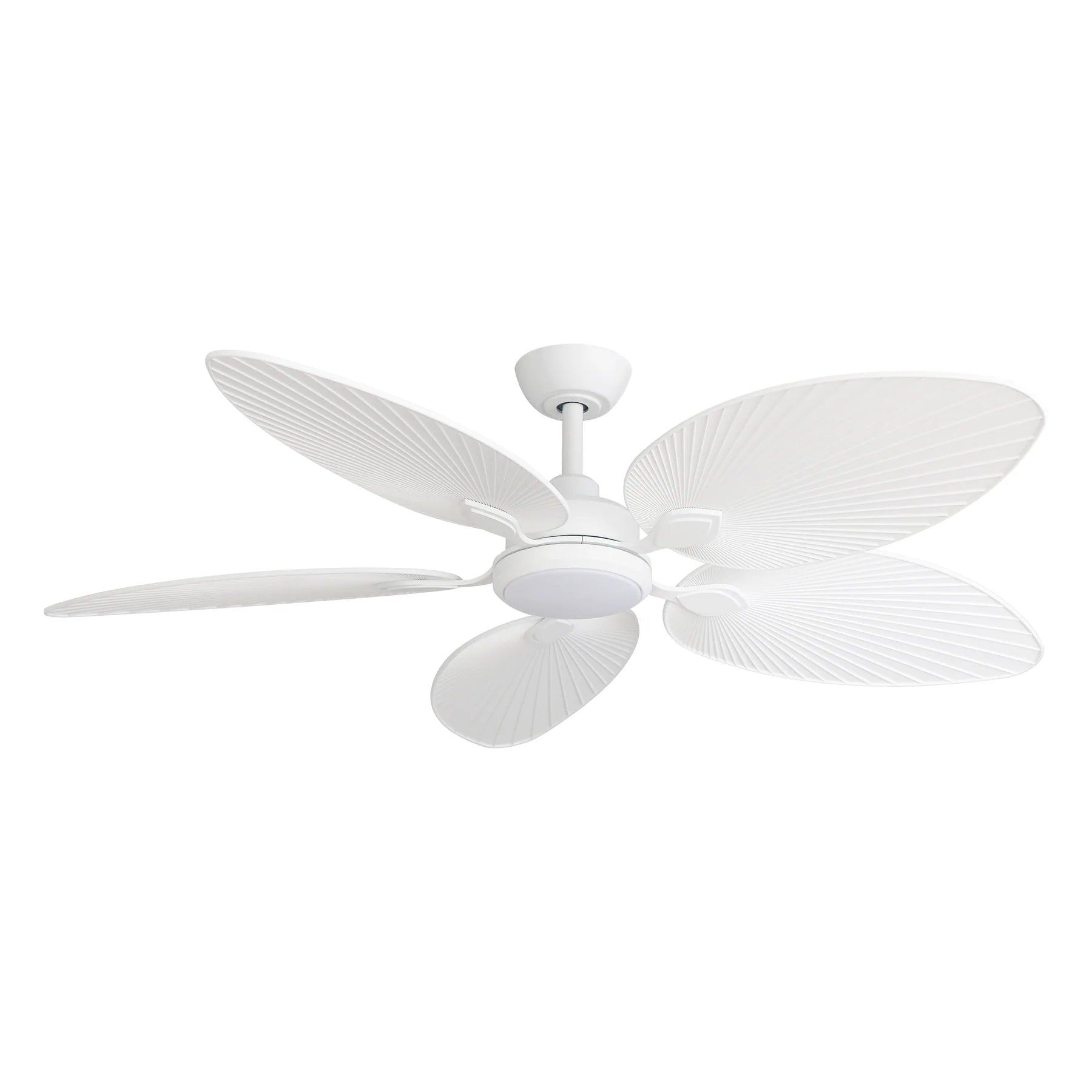 Tropicana AC Fan