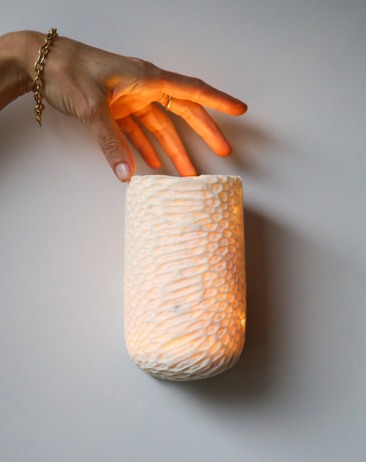 Fossil Coral Dome Wall Sconce