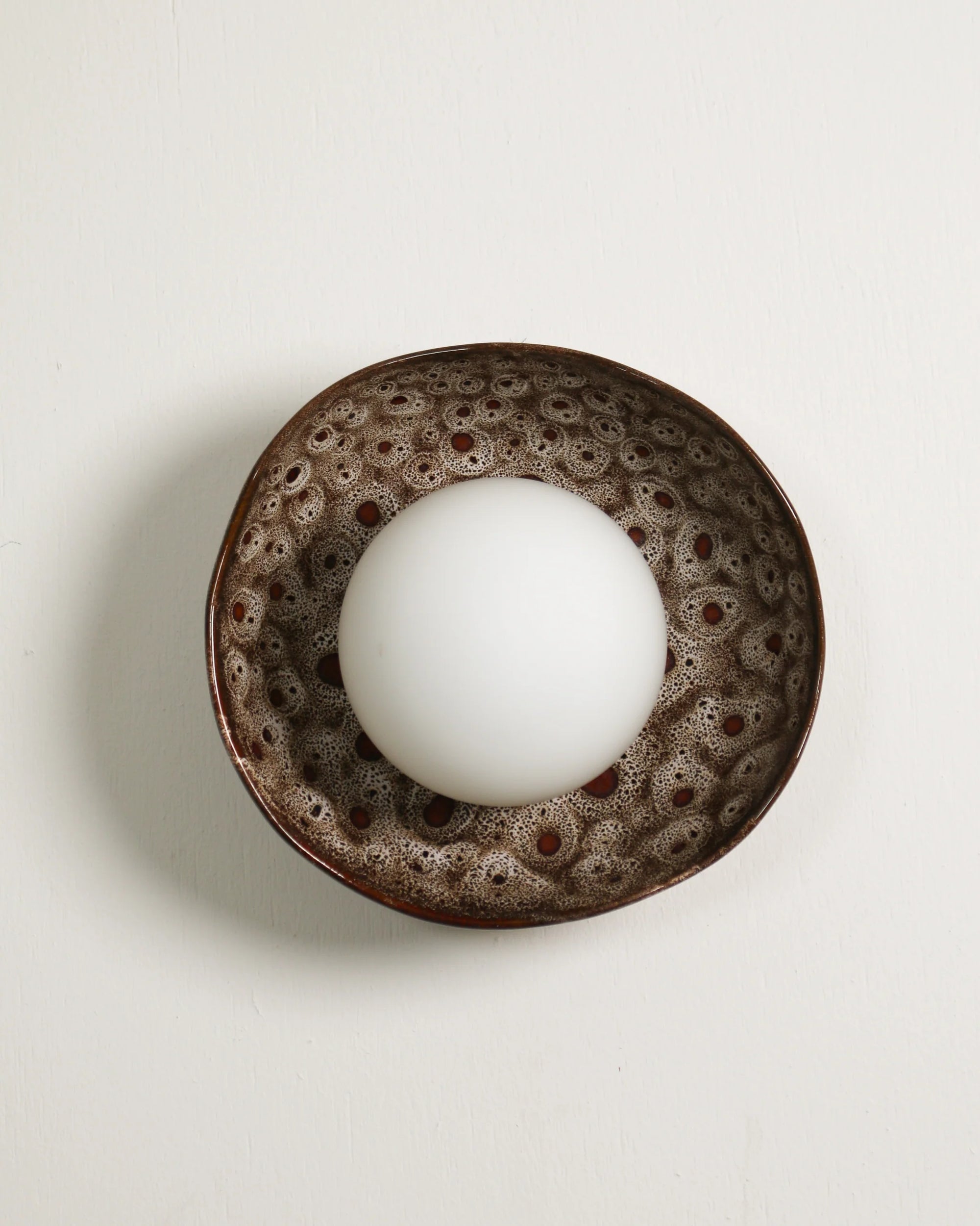 Shell Sconce Wall Light