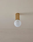 Attalos Ceiling Light