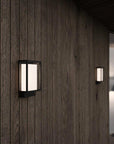 Nest Outdoor Wall Light