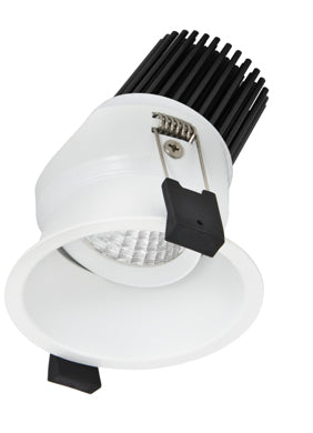 The Adjustable Recessed Downlight