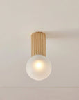 Attalos Ceiling Light